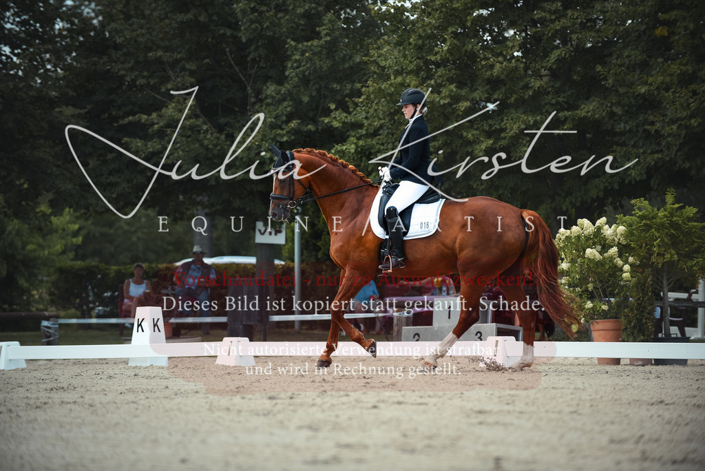 DSC_9128 | Pferde- und Turnierfotografie in Westsachsen. Pferdeportraits, Auftragszeichnungen und intuitive Kunst.