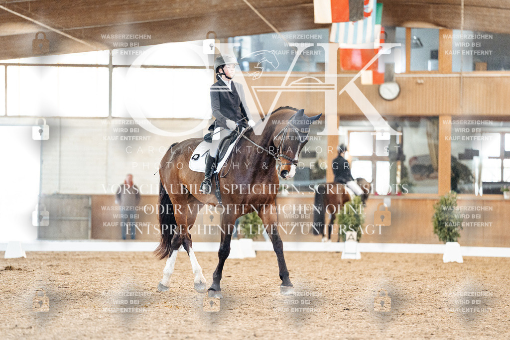 CK908402 | Turnierfotografie Pferdefotografie Trier Rheinland-Pfalz Pferdesport Reitsport Tierfotografie Sportfotografie Pferdevideo Pferdevideografie Equestrianvideography equestrianphotography  - Realisiert mit Pictrs.com