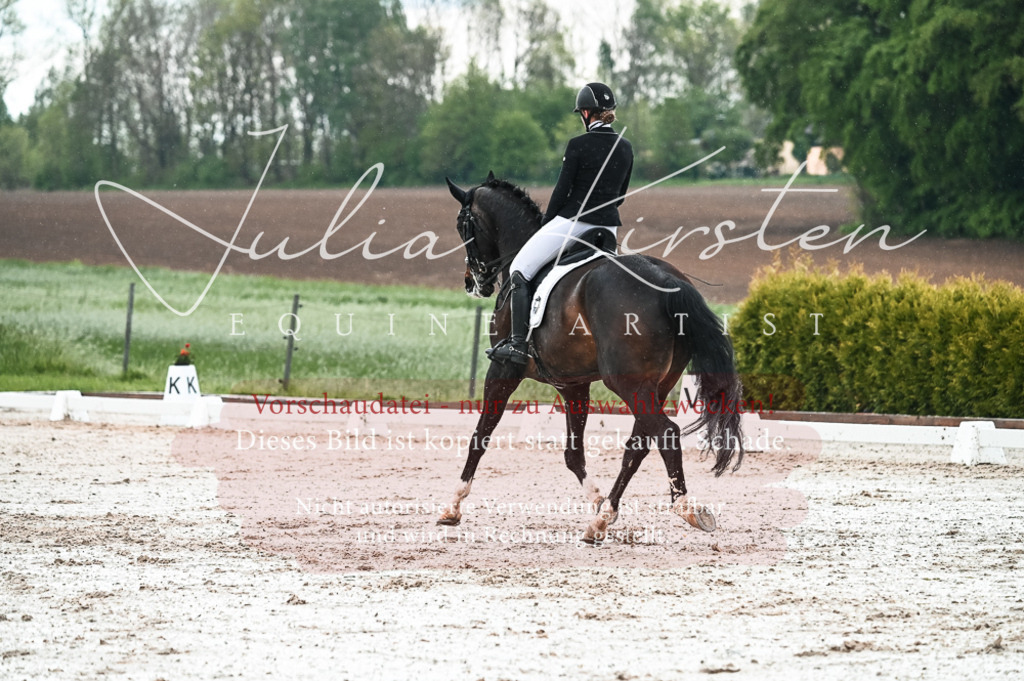 DSC_4344 | Pferde- und Turnierfotografie in Westsachsen. Pferdeportraits, Auftragszeichnungen und intuitive Kunst.