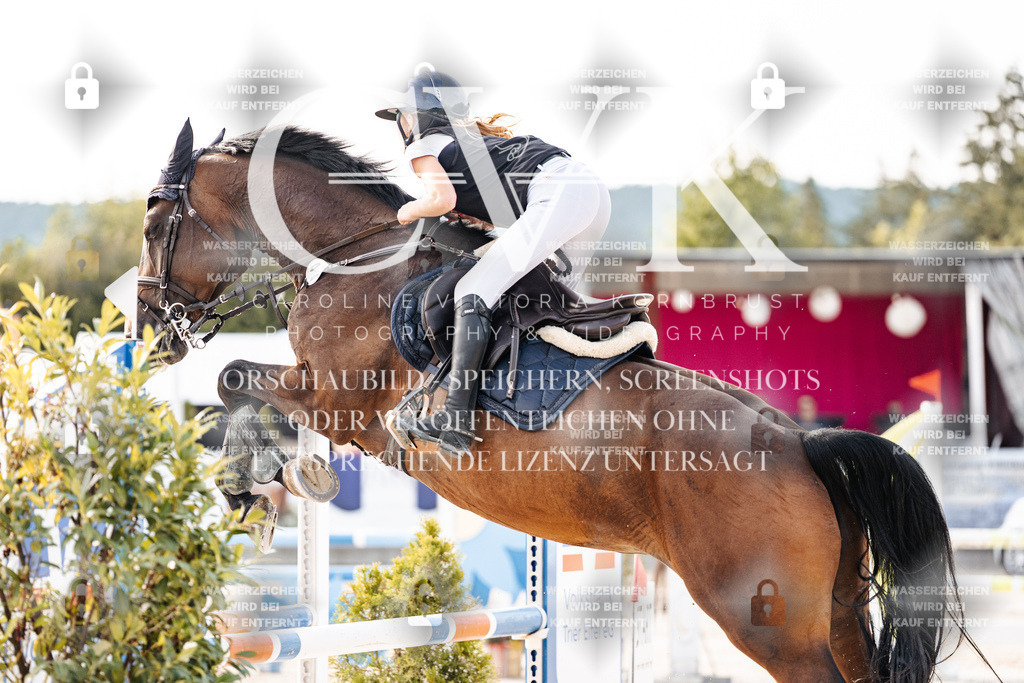 CK906203 | Turnierfotografie Pferdefotografie Trier Rheinland-Pfalz Pferdesport Reitsport Tierfotografie Sportfotografie Pferdevideo Pferdevideografie Equestrianvideography equestrianphotography  - Realisiert mit Pictrs.com