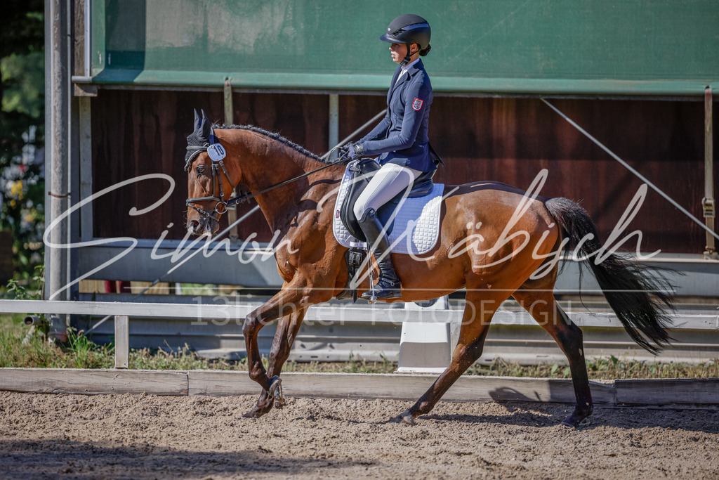 20250906-_3LI3540 | Tierfotografie Pferde, Hunde, Katzen, Haustiere.
Turnierfotografie Reitturniere, Reiten, Springreiten, Dressur in Hanau, dem Main-Kinzig-Kreis und dem Rhein-Main- Gebiet um Frankfurt
