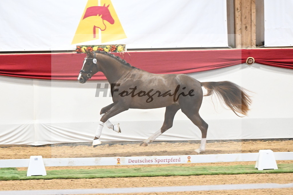 Kat.-Nr. 36 v. Benicio_Galneder_3260217 | hf-fotografie - Realisiert mit Pictrs.com