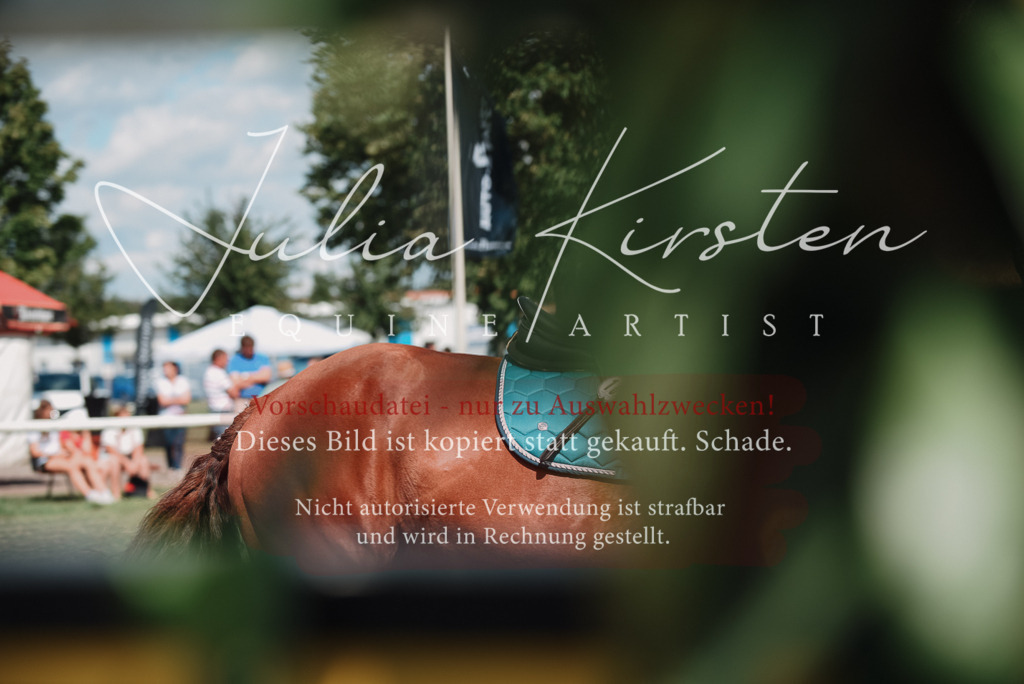 DSC_5767 | Pferde- und Turnierfotografie in Westsachsen. Pferdeportraits, Auftragszeichnungen und intuitive Kunst.