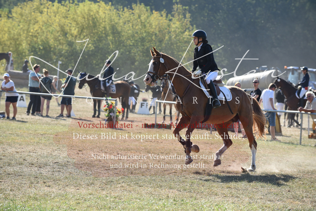DSC_5956 | Pferde- und Turnierfotografie in Westsachsen. Pferdeportraits, Auftragszeichnungen und intuitive Kunst.