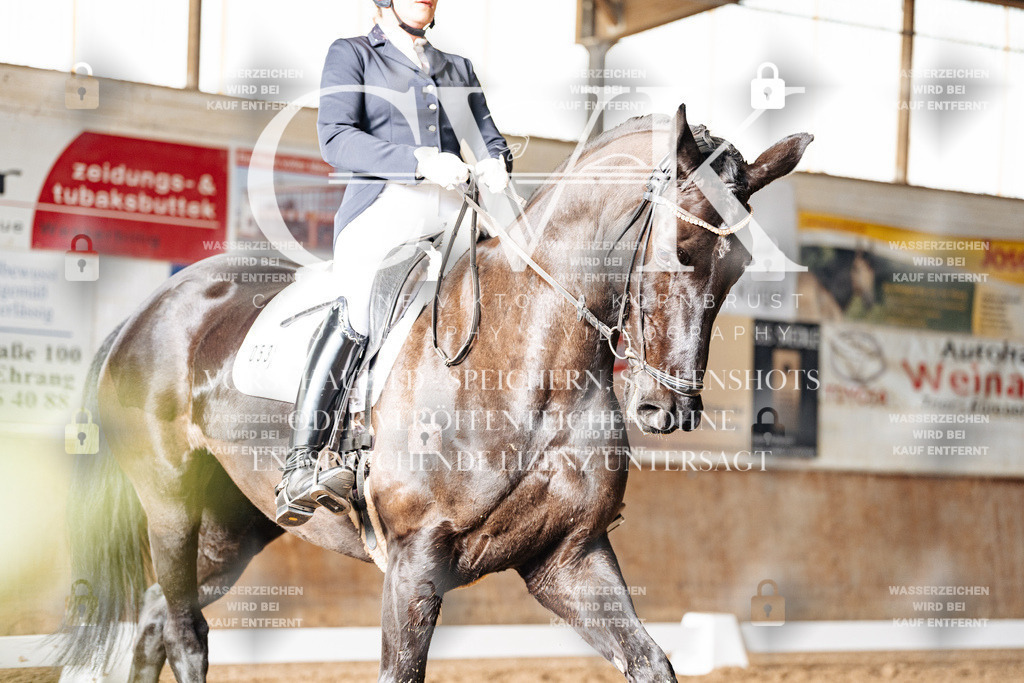 CK902212 | Turnierfotografie Pferdefotografie Trier Rheinland-Pfalz Pferdesport Reitsport Tierfotografie Sportfotografie Pferdevideo Pferdevideografie Equestrianvideography equestrianphotography  - Realisiert mit Pictrs.com