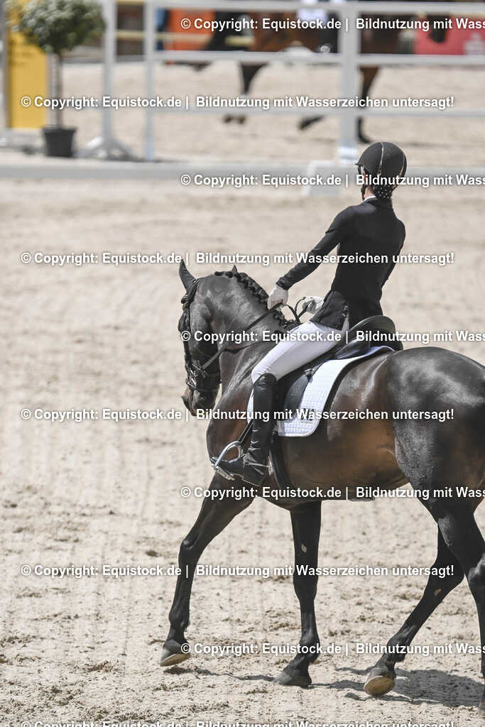 20250516_CCI2_Dressur_0167 | Foto: Thomas Hartig