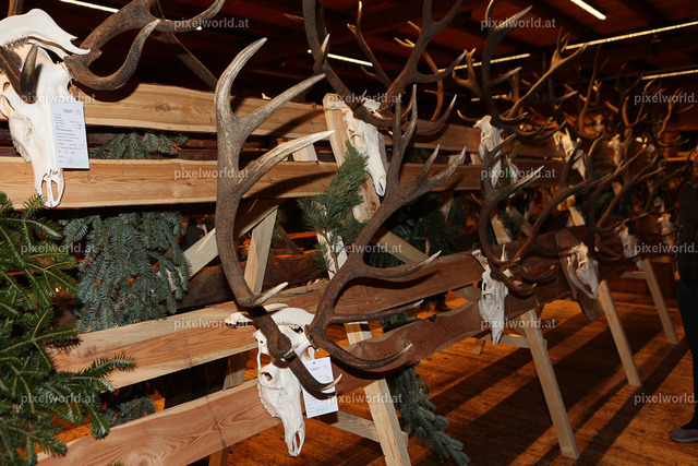 Hubertusmesse in Steuerberg | Bildershop von pixelworld.at - Realisiert mit Pictrs.com