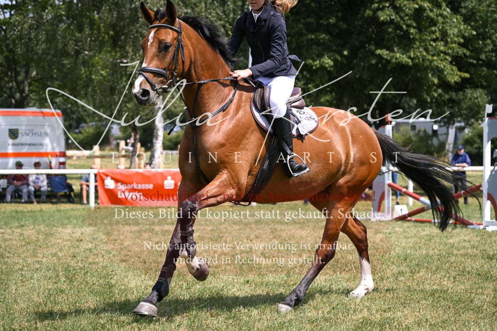DSC_9280 | Pferde- und Turnierfotografie in Westsachsen. Pferdeportraits, Auftragszeichnungen und intuitive Kunst.