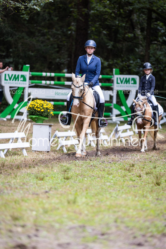 HB-Reiter-WB-042 | MomenTaufnahmen Pferdesportfotos