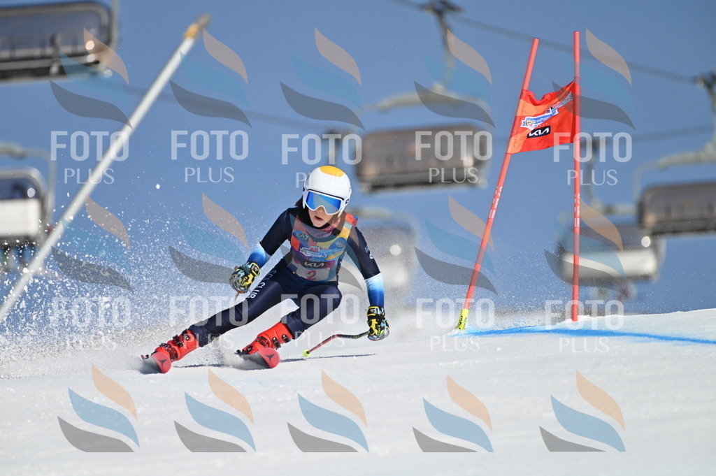 BGV_7593 | holidayphoto