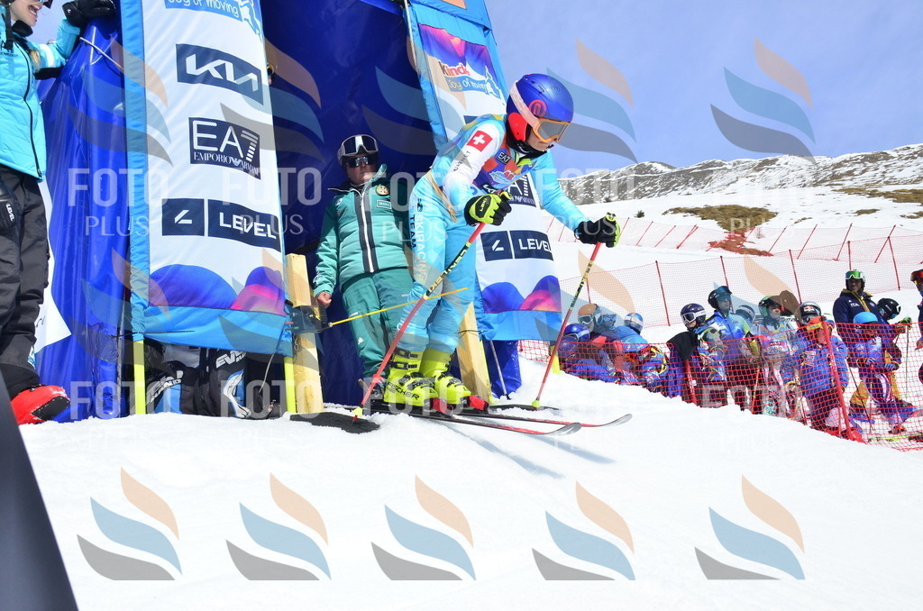 _ELE1485 | holidayphoto