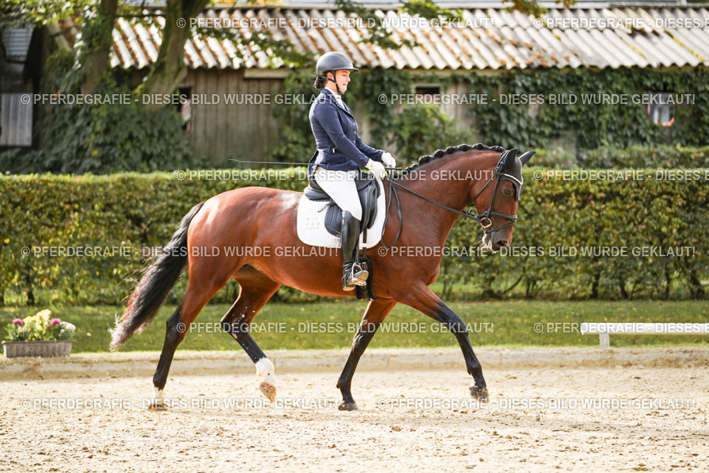 DSC09453 | Pferdegrafie