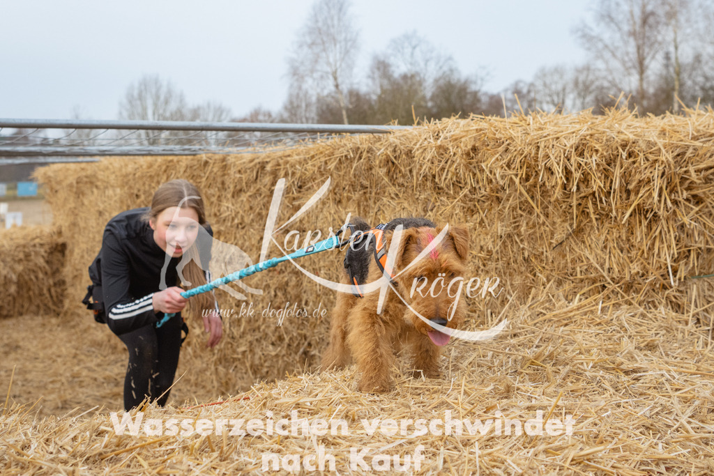 0848_ZZ94844 | kk-dogfotos