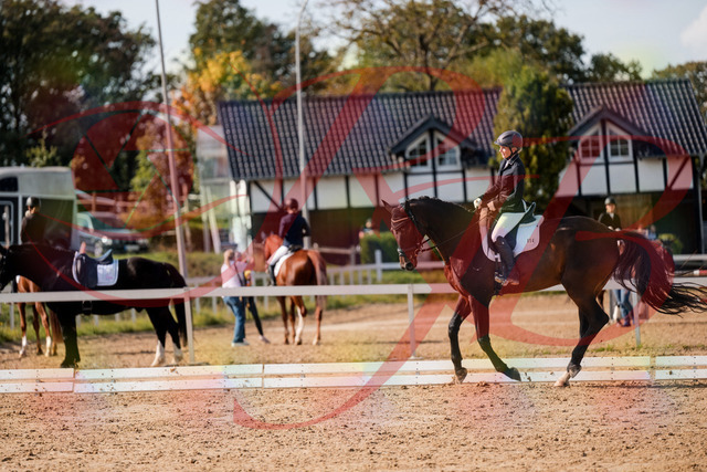 2026_10_03_Siefer-Hof_133657_Z63_98934067 | Professionelle Reitsport-, Turnier- und Eventfotografie von Robert Broda. Galerien mit ausgewählten und bearbeiteten Bildern direkt online ansehen und bestellen.