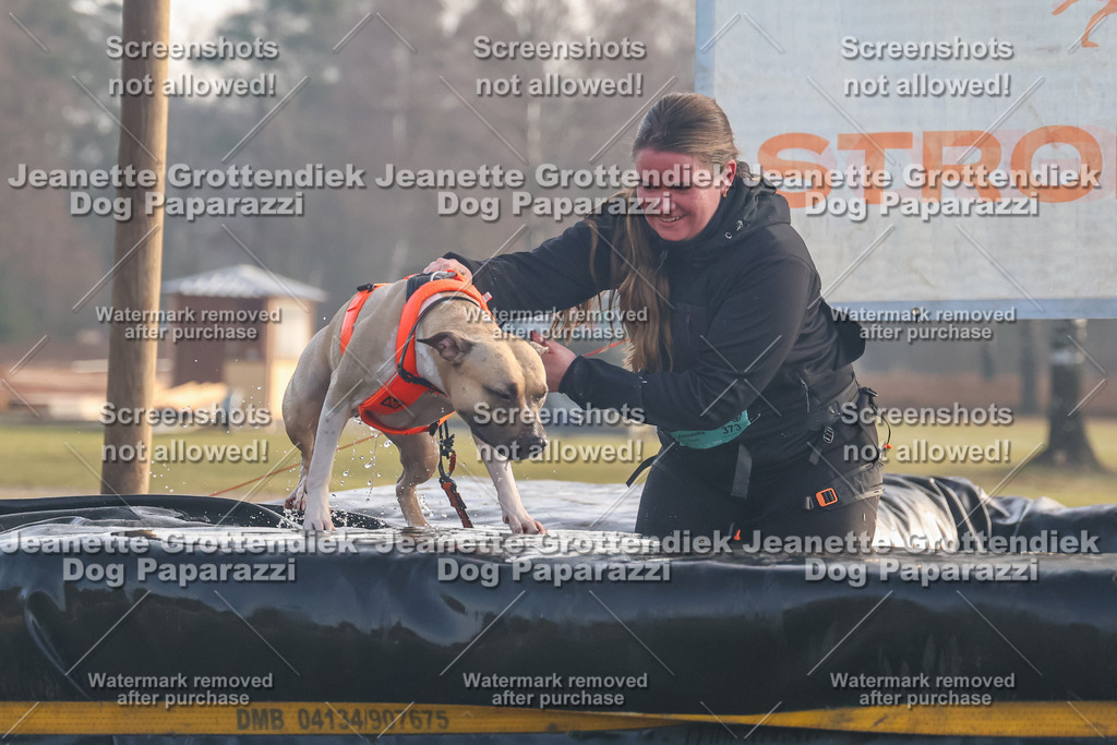 Dog Paparazzi - SD North Sa 830-900-152 | Dog Paparazzi Jeanette Grottendiek Fotografie & Videografie - Realisiert mit Pictrs.com