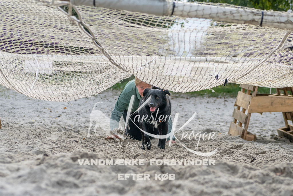 1201_ZZ99716 | kk-dogfotos