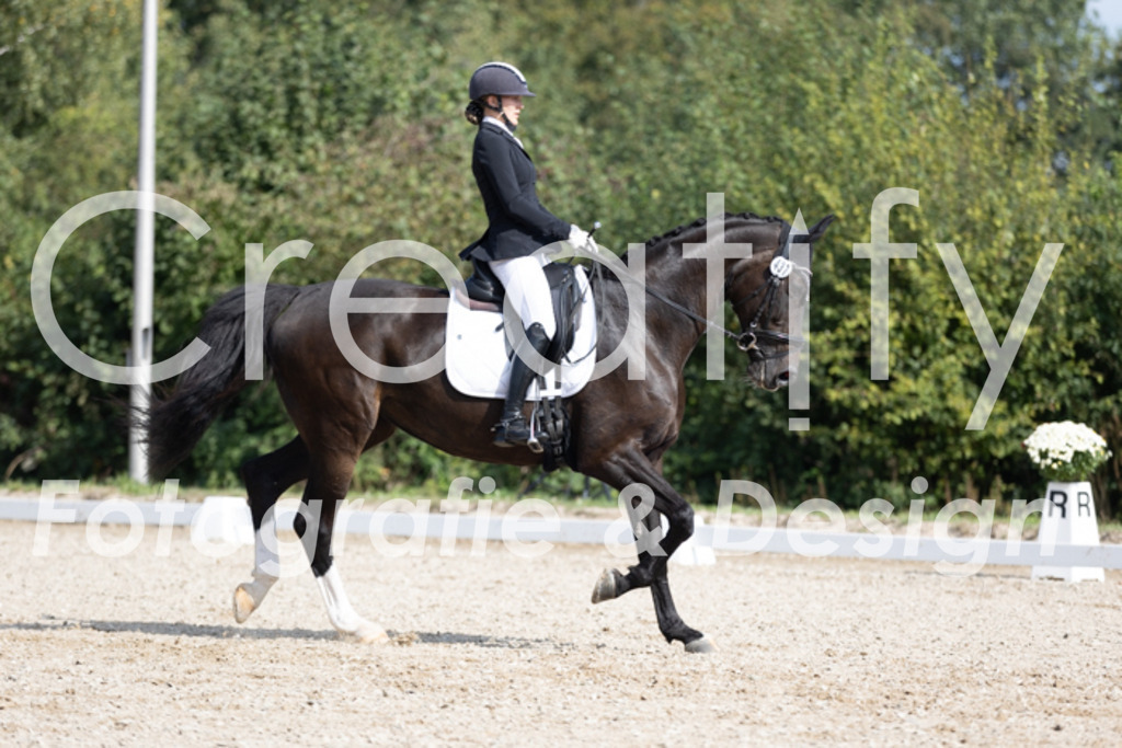 IMG_3501 | Creatify Fotografie