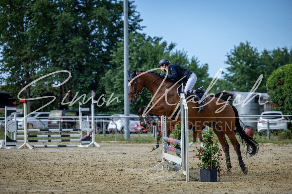 20260704-_3LI6616 | Tierfotografie Pferde, Hunde, Katzen, Haustiere.
Turnierfotografie Reitturniere, Reiten, Springreiten, Dressur in Hanau, dem Main-Kinzig-Kreis und dem Rhein-Main- Gebiet um Frankfurt