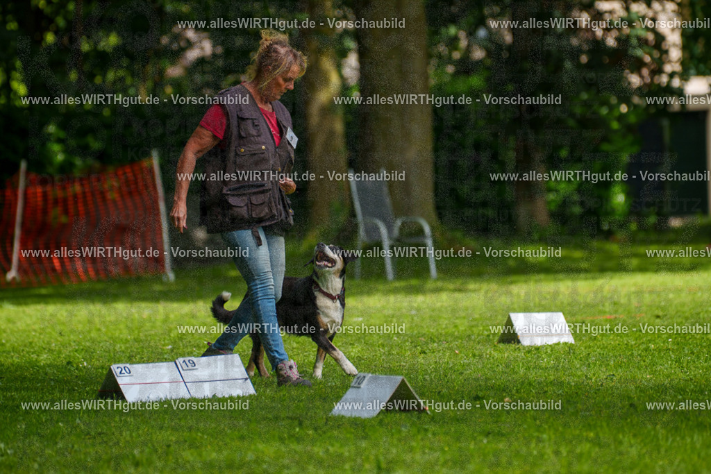 @allesWIRTHgut_Tierfotografie - www.allesWIRTHgut.de - 7R503416 | Professionelle Tierfotografie in Mönchengladbach von Daniel Wirth (allesWIRTHgut). Liebevolle & natürliche Bilder von Hunden & Katzen für unvergessliche Erinnerungen.