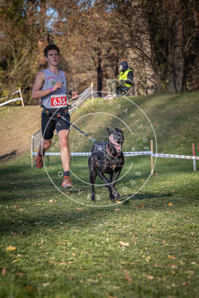 CaniXpix_0L8A8918 | Hundefotografie, Tierfotograf, Pfotenfotografie, Fotoshooting Hund, Hunde Portrait, Hundesport, Hundeportraits, Heideshooting, Hunde, Sportfotograf, Hundefotograf, Turnierhundsport, THS,  - Realisiert mit Pictrs.com