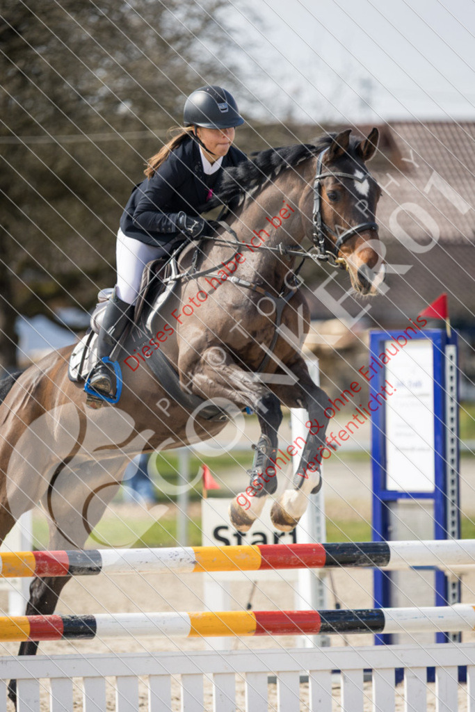 IMG_4143 | Sport-, Event- und Tierfotos in Profiqualität. Einfach auswählen, bestellen und herunterladen. Dein Moment – perfekt festgehalten.