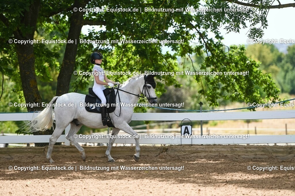 20230715_09_Dressur-WB_0054 | equistock