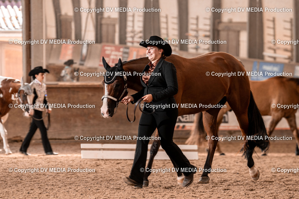 LM Heiligenwald Tag 1-355 | dv-media-shop - Realisiert mit Pictrs.com