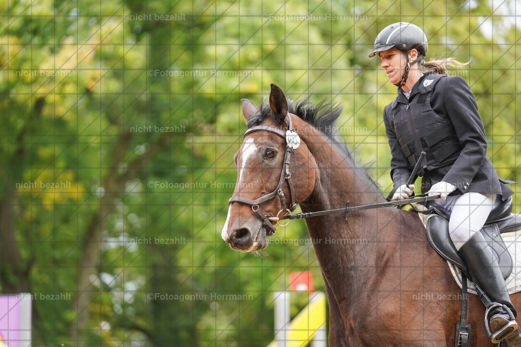 20221009-FAH08734 | Diessen am Ammersee, 2022, Dressur- und Springturnier, Reitsportbilder, Turnierfotografen Bayern, Pferdefotografen, Fotoagentur Herrmann, Turnierbilder