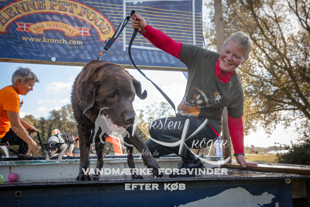 1221_ZZ95778 | kk-dogfotos