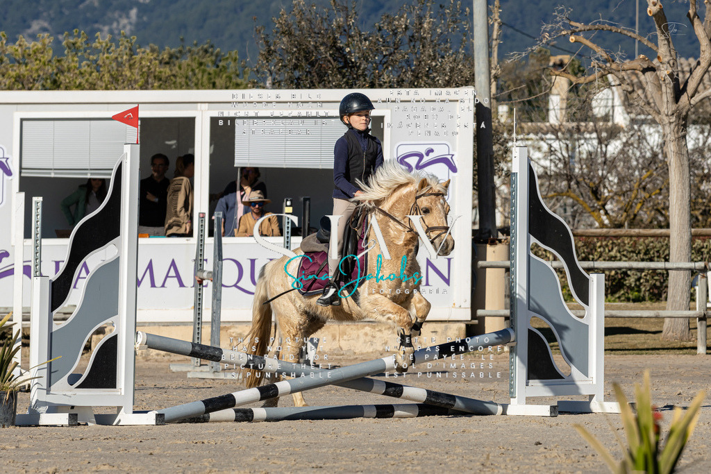 IMG_8001 | s-jay-photography - Realisiert mit Pictrs.com