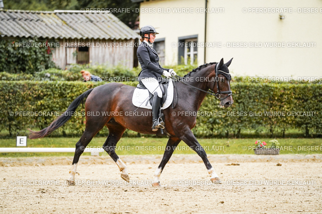 DSC06737 | Pferdegrafie