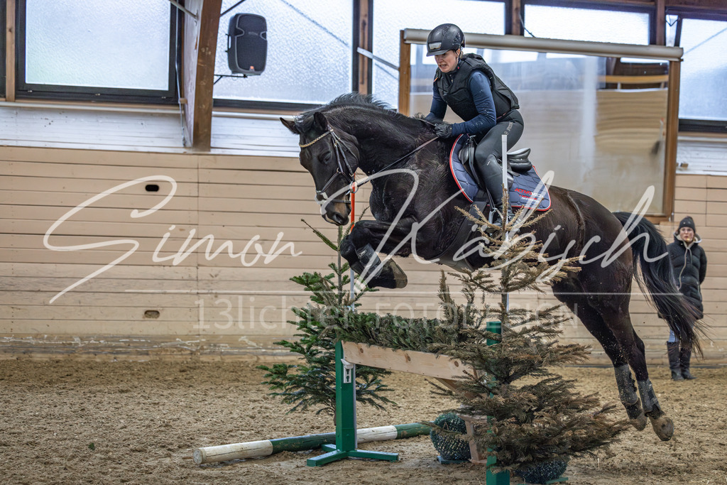 20260222-_3LI1274 | Tierfotografie Pferde, Hunde, Katzen, Haustiere.
Turnierfotografie Reitturniere, Reiten, Springreiten, Dressur in Hanau, dem Main-Kinzig-Kreis und dem Rhein-Main- Gebiet um Frankfurt