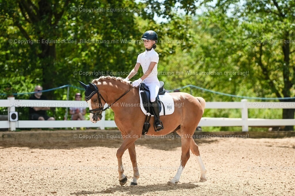 20230715_09_Dressur-WB_0237 | equistock