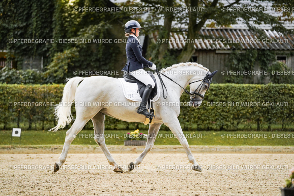 DSC06657 | Pferdegrafie