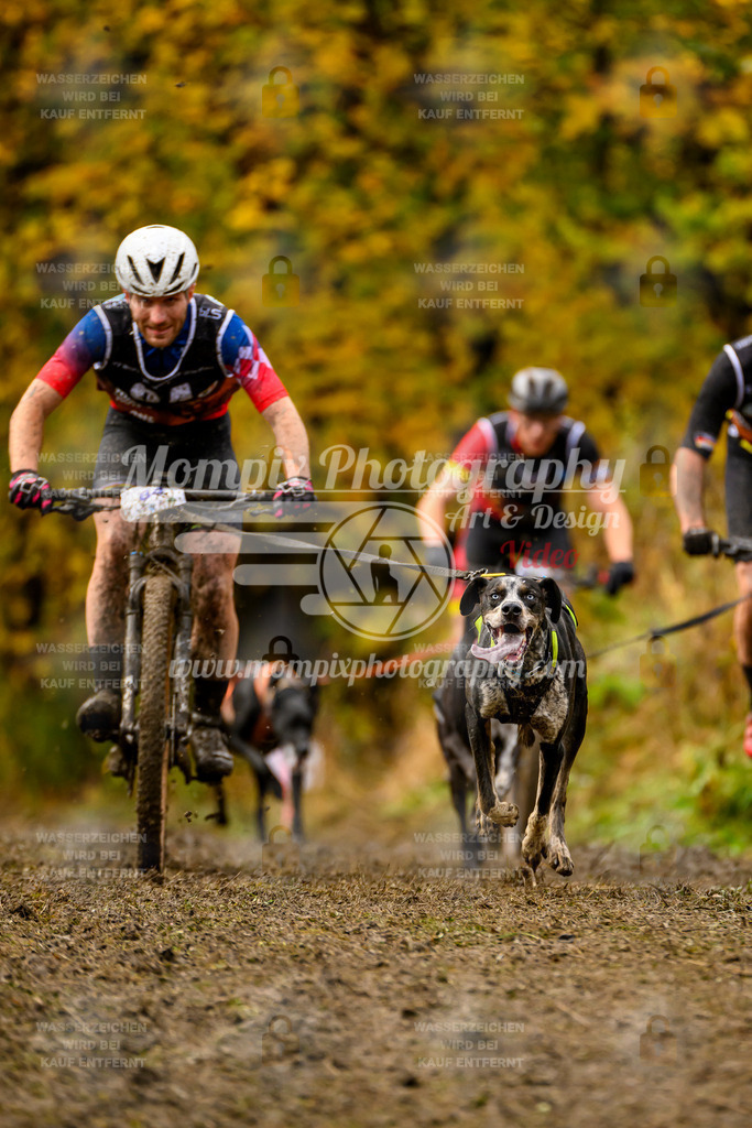 MompixPhotography_ICF_WC_2024_SA_Bike_-30 | PayLife