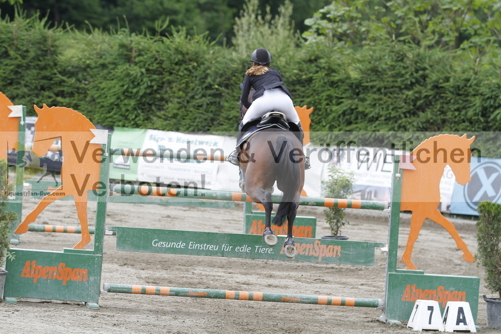 _MG_5337 | equestrian-live-com