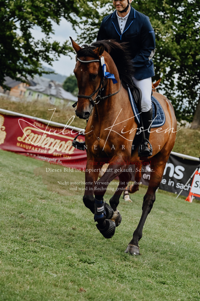 DSC_7138 | Pferde- und Turnierfotografie in Westsachsen. Pferdeportraits, Auftragszeichnungen und intuitive Kunst.