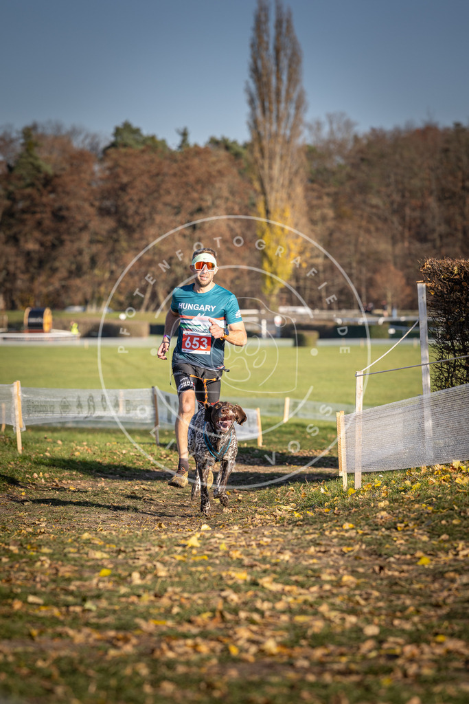 CaniXpix_DV3A0523 | Hundefotografie, Tierfotograf, Pfotenfotografie, Fotoshooting Hund, Hunde Portrait, Hundesport, Hundeportraits, Heideshooting, Hunde, Sportfotograf, Hundefotograf, Turnierhundsport, THS,  - Realisiert mit Pictrs.com