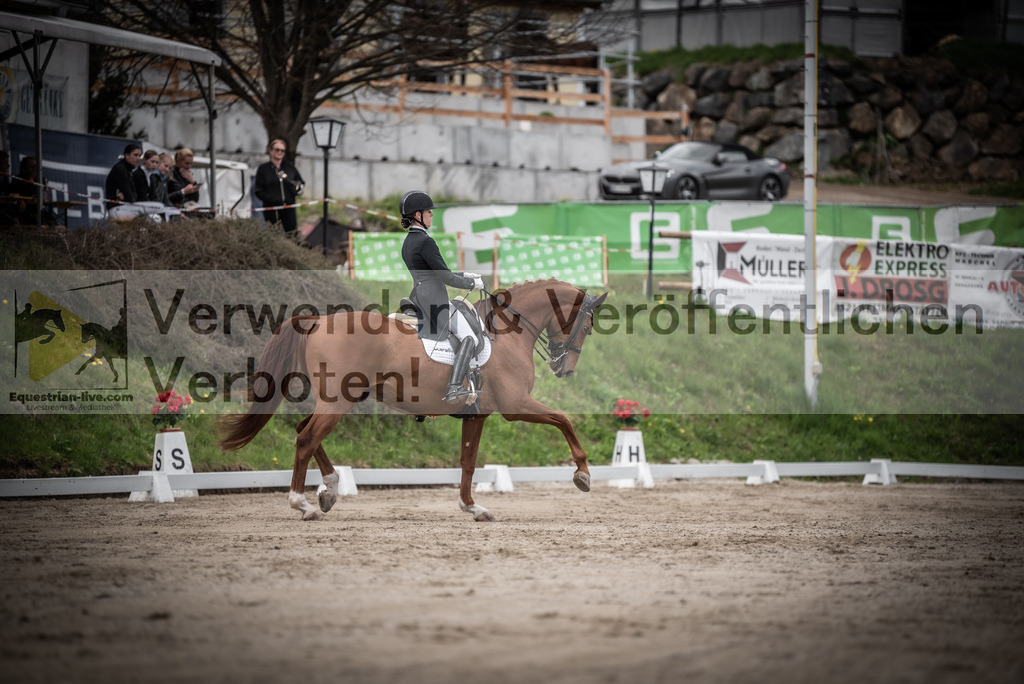 DSC_3064 | equestrian-live-com