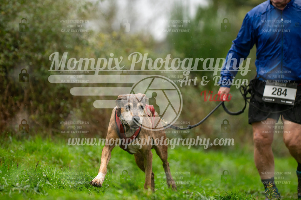 TSB_2023_E6_Canicross-217 | PayLife