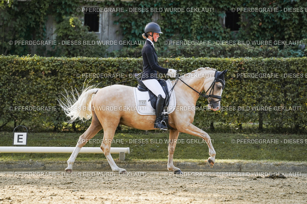 DSC04933 | Pferdegrafie