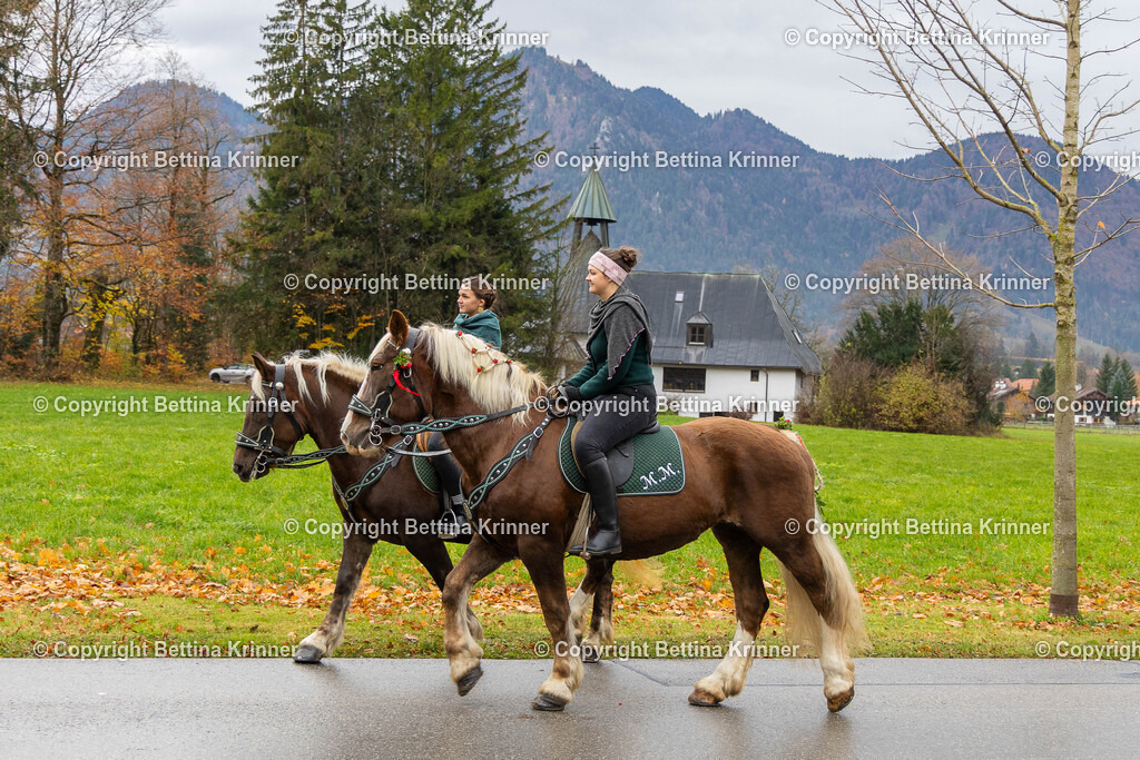 LL25-40 | foto-bettina-krinner - Realisiert mit Pictrs.com