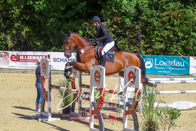 DKP43199 | Turniersportfotografie; Pferdefotografie; Dressurfotografie