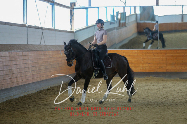 IMG_3529 | Turniersportfotografie; Pferdefotografie; Dressurfotografie