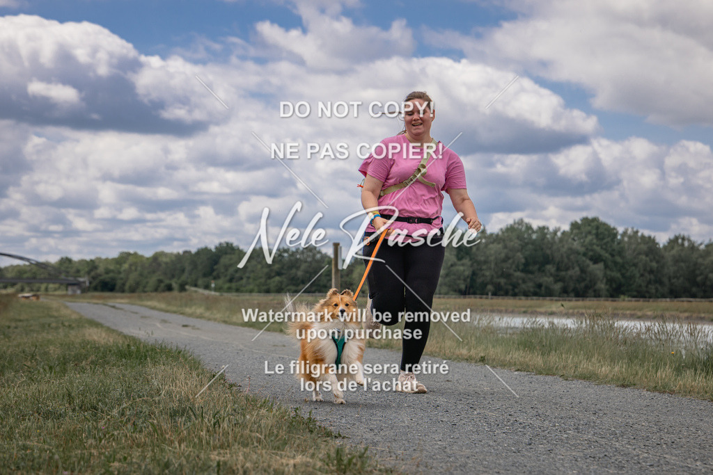 nelerasche_BuHu2026_SaCC1100-1200_114 | nelerasche