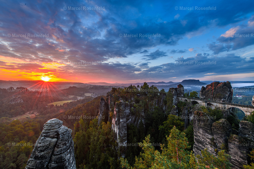 _DSC2515 (1) | foto-rosenfeld