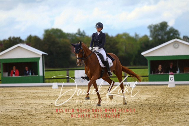 DKP44567 | Turniersportfotografie; Pferdefotografie; Dressurfotografie