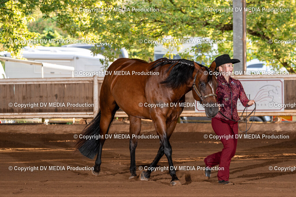 Erbach Tag 3-57 | dv-media-shop - Realisiert mit Pictrs.com