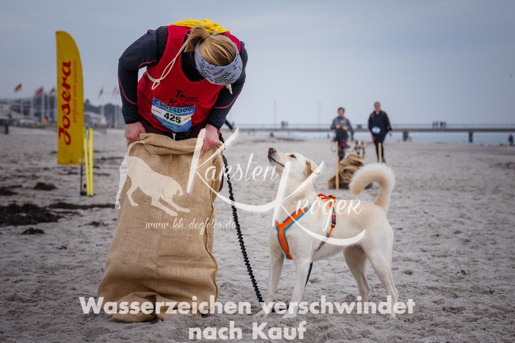 1209_ZZ92229 | kk-dogfotos