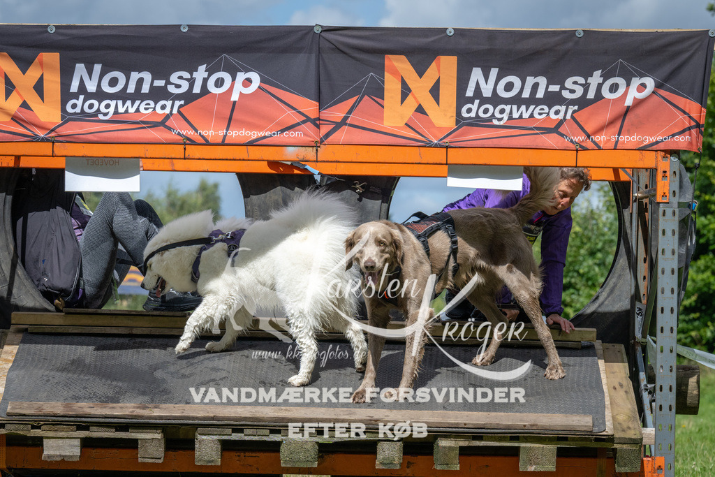 1335_ZZ90568 | kk-dogfotos